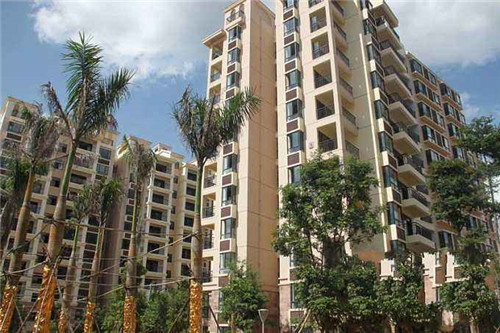 BLOOM.盛放维生素饮料