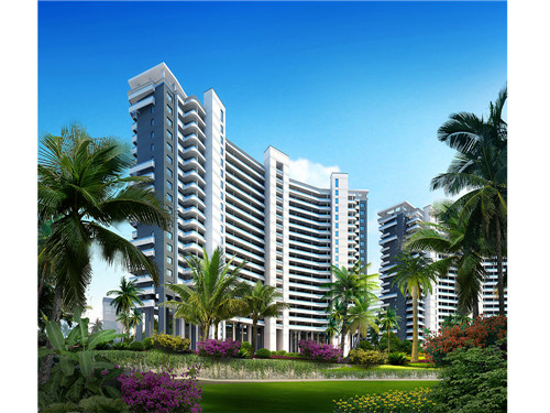 馋小喵三汁小焖锅