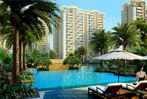 魔芋爽加盟投资创业哪些项目好