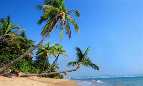 源素茶奶茶加盟有没有亏本的