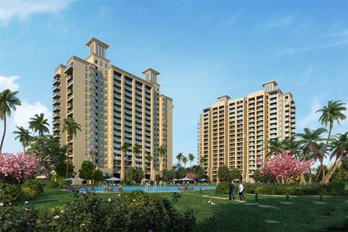 爱福蛙花艺餐厅需要多少的加盟费