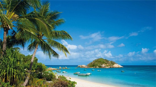 77漫品投资成本怎么样