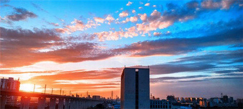 2025竹炭包加盟店什么项目风险低，竹炭包是干啥的