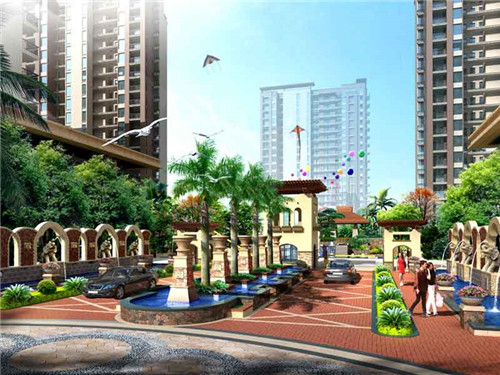 维斯是什么意思（活人维斯是什么意思）