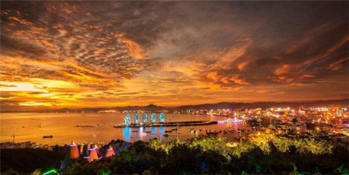 南阳的烧鸡哪家好吃（南阳的烧鸡哪家好吃一点）