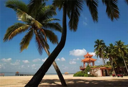 表白被拒的男人怎样挽回（表白被拒绝了还要继续追吗男生）