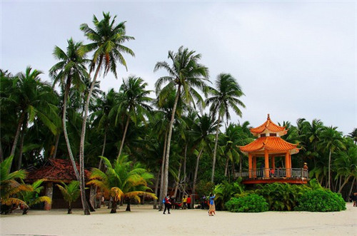 cf手游对局可以回放吗（cf手游对局可以回放吗怎么设置）