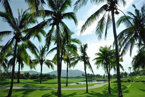 亲戚朋友拿花圈什么歌（亲戚送花圈）