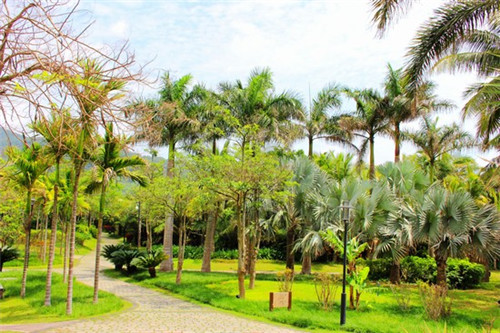 兰州美食推荐必吃菜（兰州地道美食）