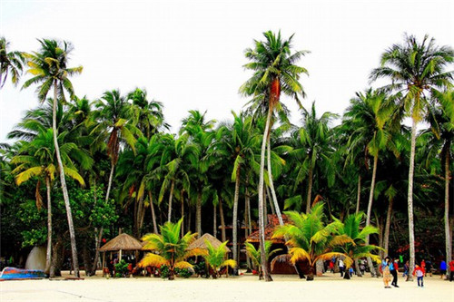 驼背矫正带什么品牌比较好（驼背矫正带什么牌子好）