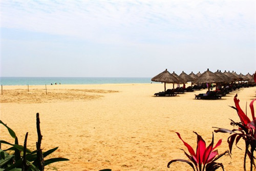 杏鲍菇用肉炒怎么炒好吃（杏鲍菇炒肉家常简单做法）